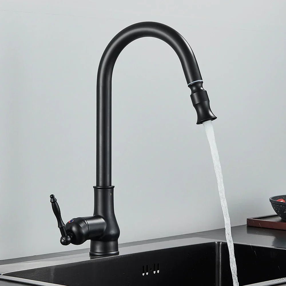 Pull-Out Kitchen Faucet with Flexible Spray Head