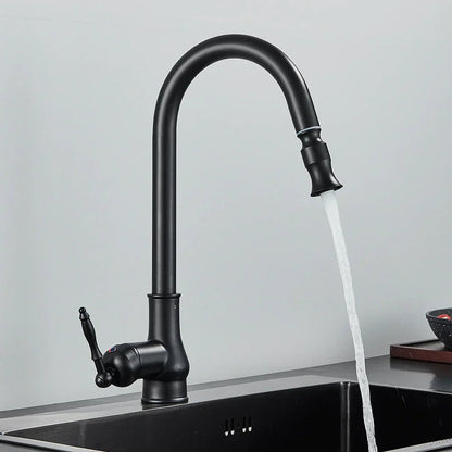 Pull-Out Kitchen Faucet with Flexible Spray Head