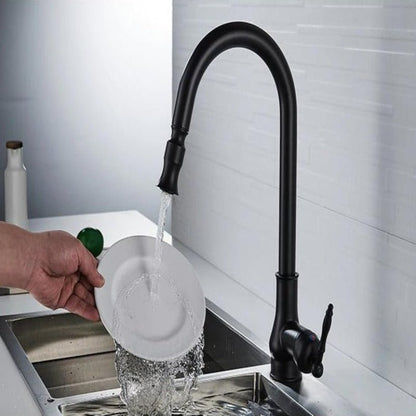 Pull-Out Kitchen Faucet with Flexible Spray Head