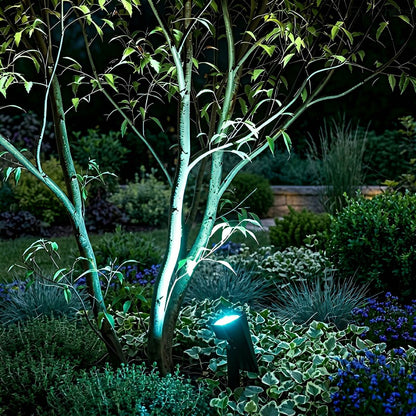Solar Garden Spotlight Modern LED with Adjustable Angle and Auto On/Off