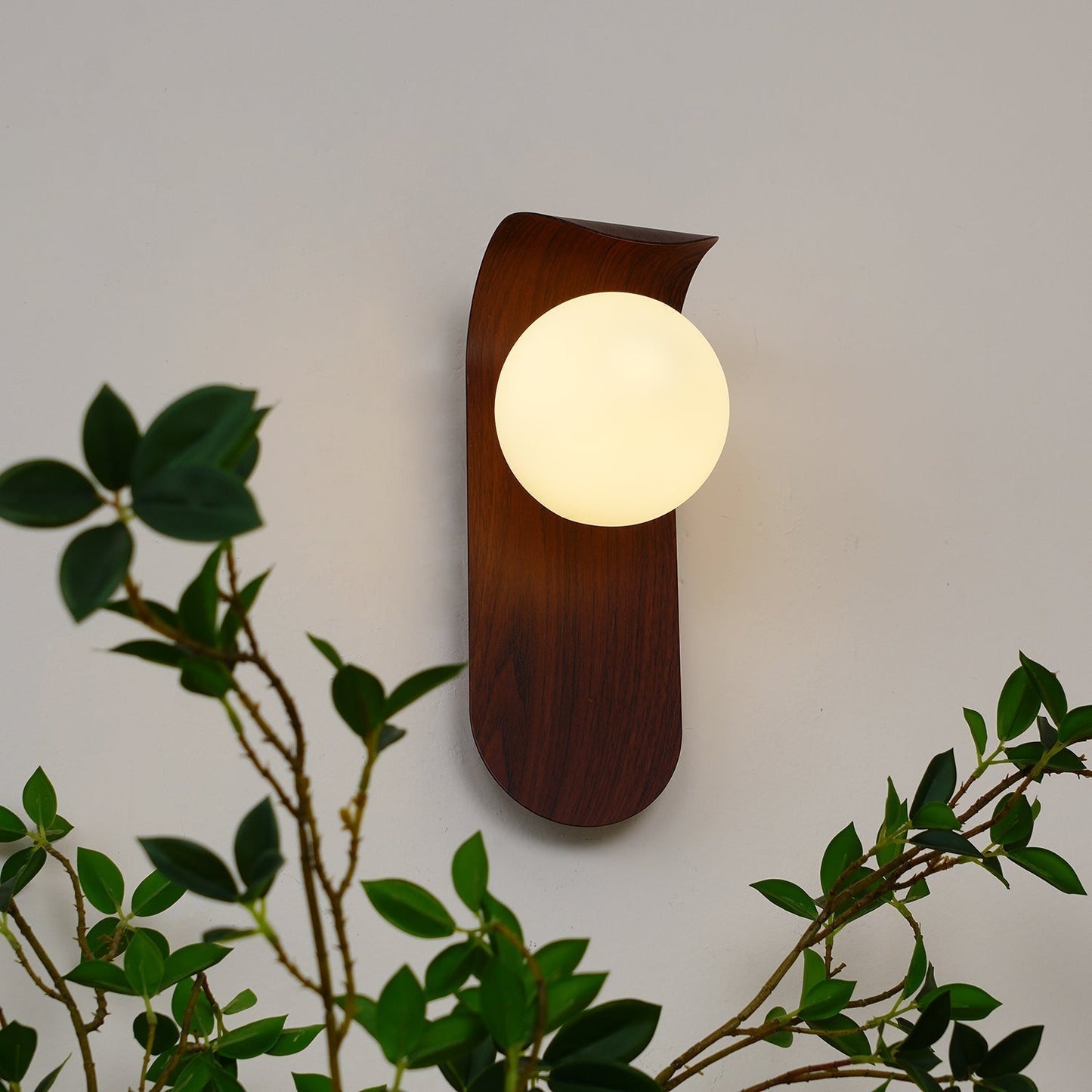 Wall Lamp Scandinavian with Globe Shade and Wood Panel